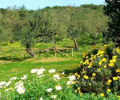  Agriturismo I Moresani