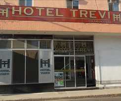 Trevi