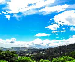 Heliconia - Monteverde