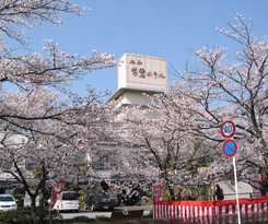 Isawa Tokiwa