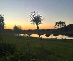 Hotel Pousada Refugio Do Lago
