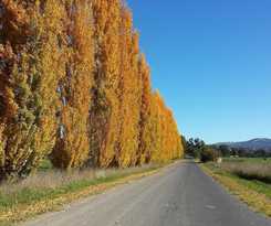 Hotel Harriet House Tumut