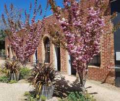 Casa de Huéspedes The Albert and Mills Guest House and Apartments