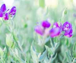 Motel Mollymook Shores