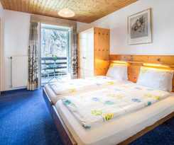 Hotel Alpina