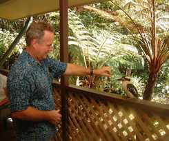 Chambers Wildlife Rainforest Lodges