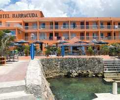 Barracuda Cozumel