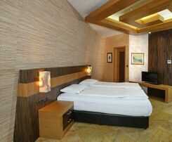 Hotel Art Complex Anel