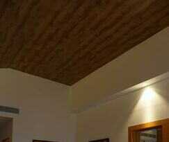 The Fern Surya Resort Kasauli Hills Dharampur
