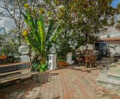 Botanico