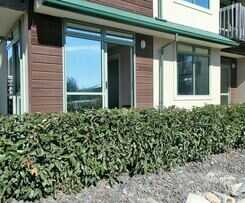 Motel Lake Tekapo Village