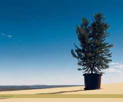  Fairy Lake Resort & Spa