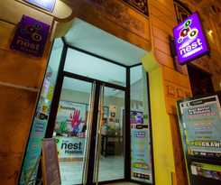 Purple Nest