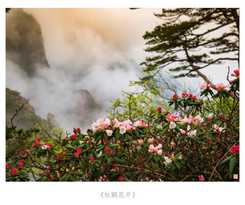 Hotel Huangshan Paiyunlou