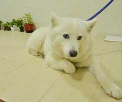  Yun Shui Yao Hai Xi Bei Bao Ke Zhan