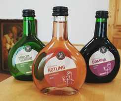 Hotel Hotel-cafe Demling