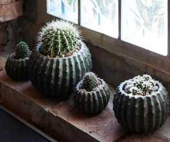 Mittermeiers Alter Ego