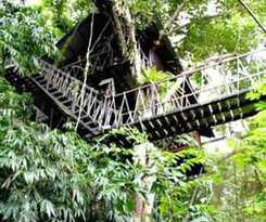 Hotel Khao Sok Tree House