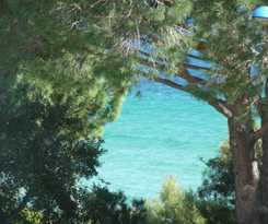 Hôtel Les Eucalyptus
