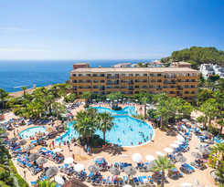 Best Alcazar