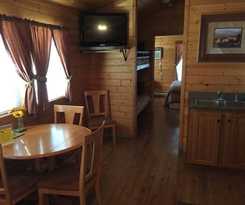 Kingman Koa