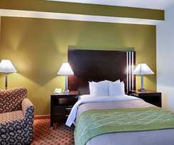 Hotel Comfort Inn East