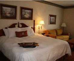 Hotel Hampton Inn Medina