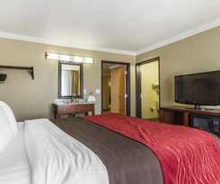 Hotel Comfort Inn and Suites Redwood Country