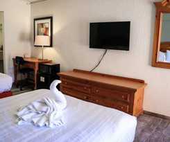 Hotel Suite Dreams
