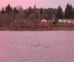 Hotel Lakeview Inn Centralia