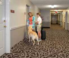 Comfort Inn Pensacola Near Nas Corry Station