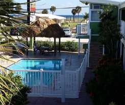 The Palms On Ocean
