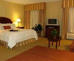 Hotel Hampton Inn and Suites Vicksburg