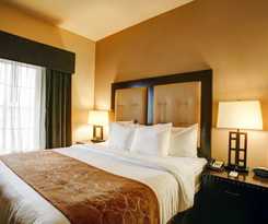 Hotel Comfort Suites Buda - Austin South