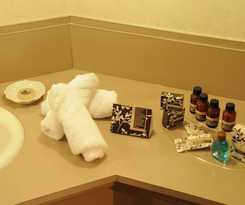 Best Western Potsdam University Park Inn