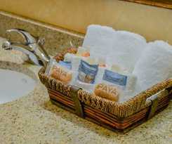 Hotel Put-in-bay Resort and Conference Center