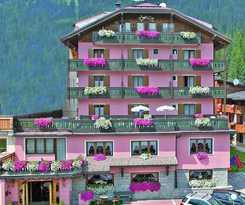 Alpen Vidi