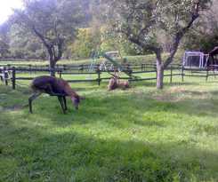 Hotel Il Vecchio Pescatore
