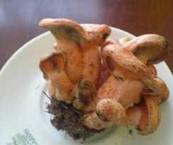 Hotel Remanso Del Rio Razon