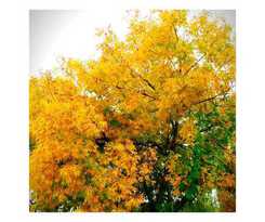 Hotel Apartamentos Valle Del Guadalquivir