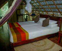 Hotel Ella Jungle Resort