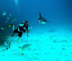 Hotel Abaco Beach Resort and Boat Harbour Marina