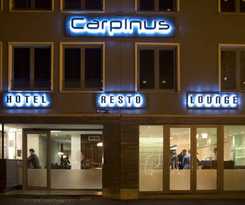 Hotel Carpinus