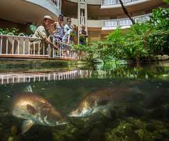 Doubletree By Hilton Cairns