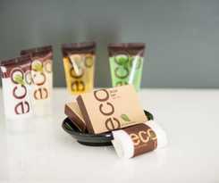 Western Star All Suites Signature