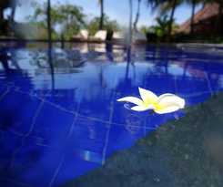 Hotel Liberty Dive Resort