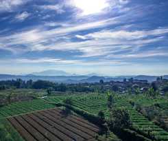 Hotel Tangko Inn Resort