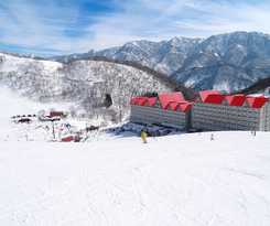 Green Plaza Hakuba