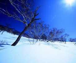 Yuzawa Ski House