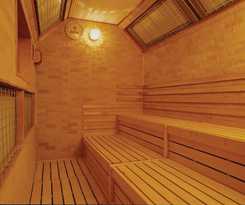 Hotel Akita Onsen Satomi